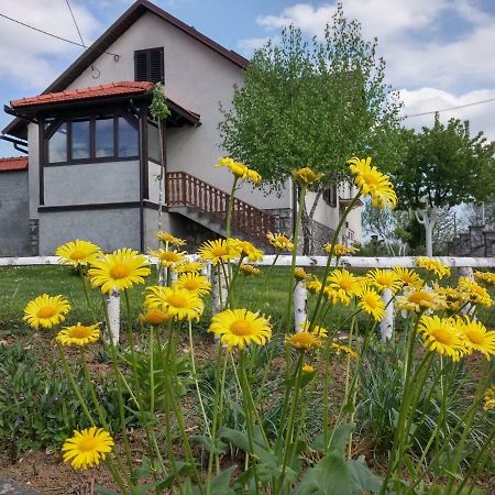 Apartment Rasce Ogulin Dış mekan fotoğraf