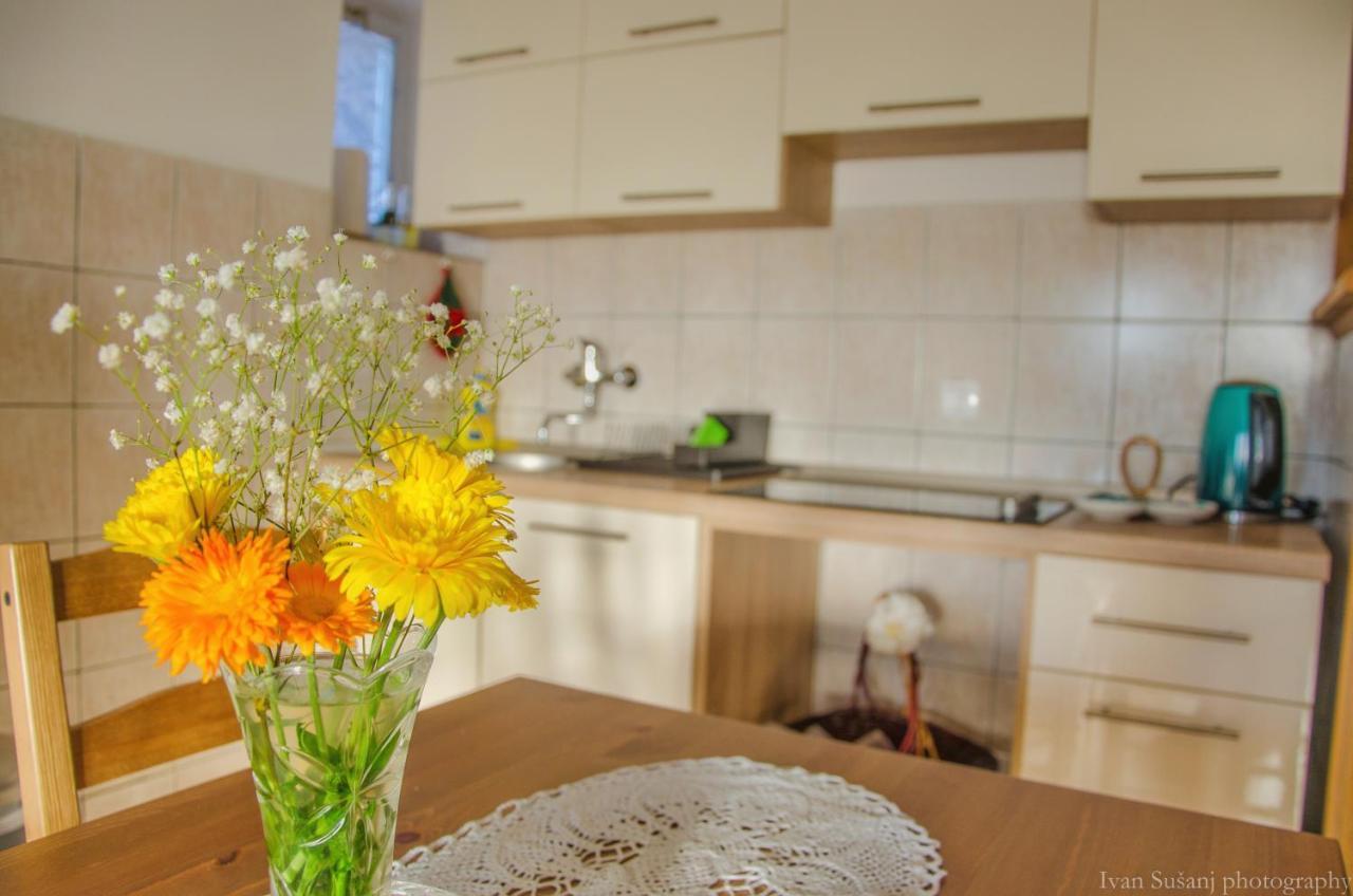 Apartment Rasce Ogulin Dış mekan fotoğraf