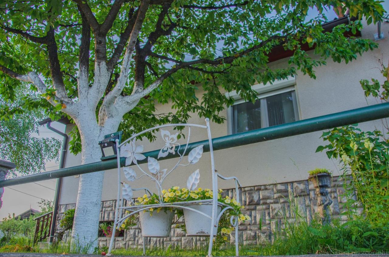 Apartment Rasce Ogulin Dış mekan fotoğraf