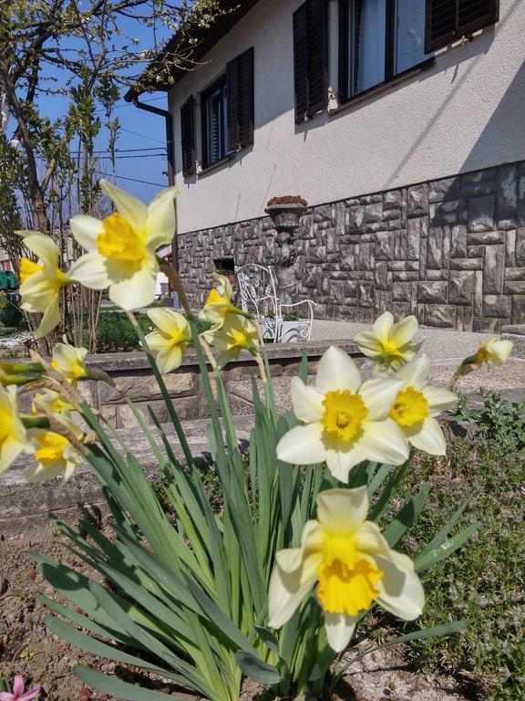 Apartment Rasce Ogulin Dış mekan fotoğraf